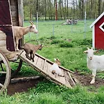 Oelmuehle Szálloda Eberstedt