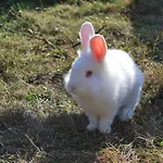 Oelmuehle 3*