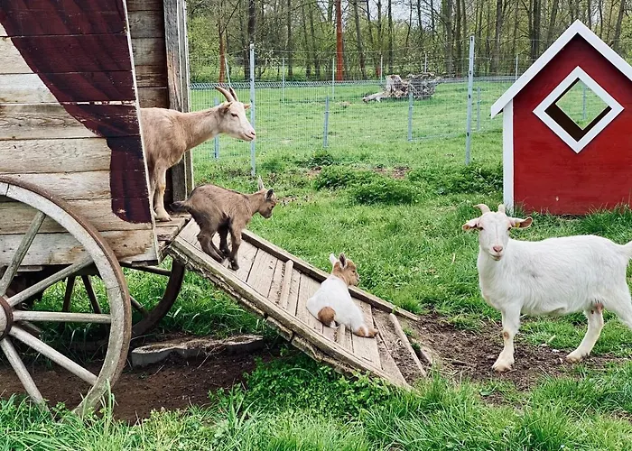 Oelmuehle Hotel Eberstedt